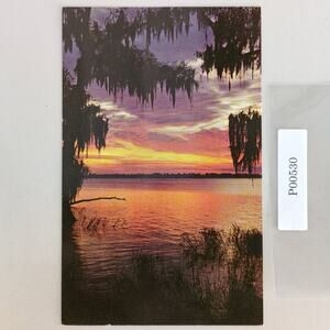 Beautiful Sunset at Cypress Gardens Florida 1960s Postcard FL PC Photo